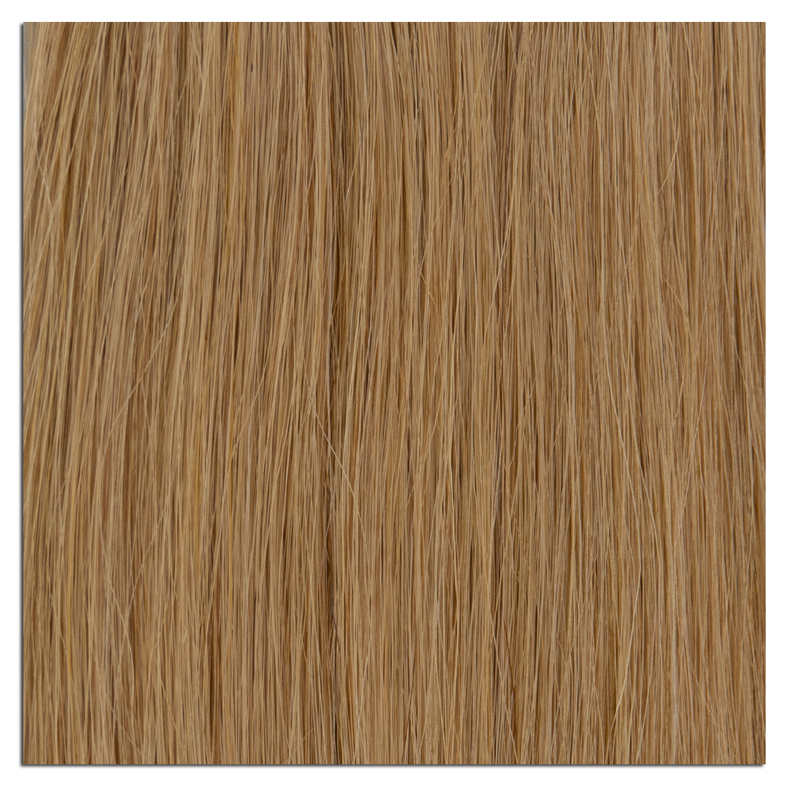 10 Light Brown